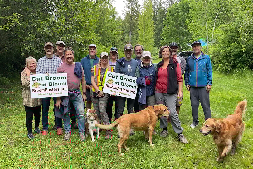 Volunteers came together to eliminate Scotch broom infestations in 2024.