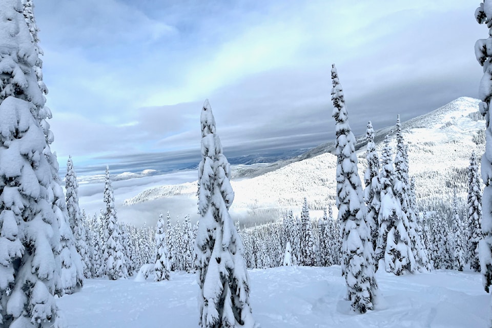 The Mount Lepsoe area northwest of Rossland.