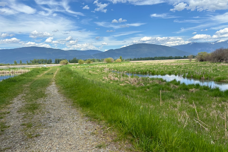 corn-creek-marsh