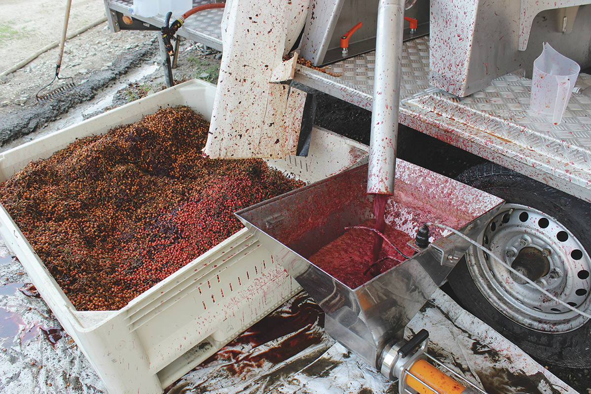 New juice press creates economic diversity