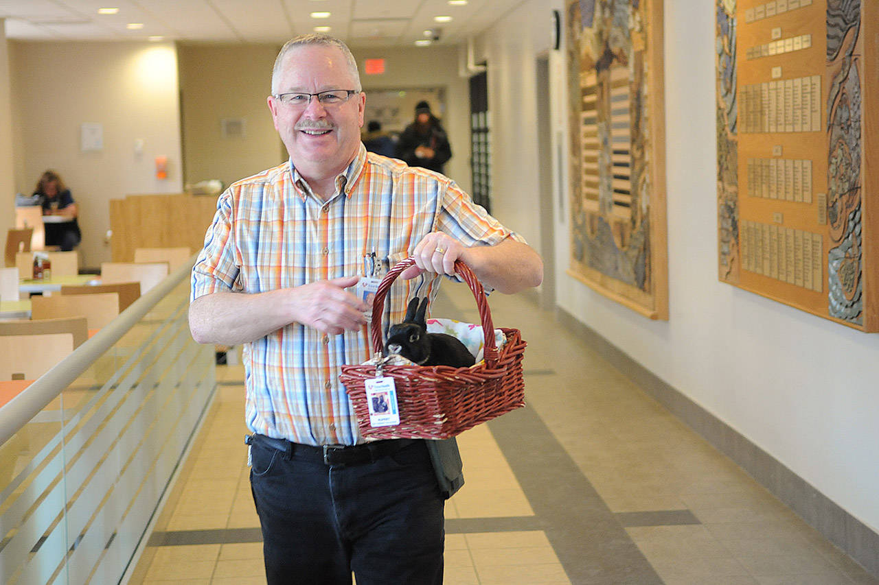 Rupert the therapy bunny sidelined due to deadly virus outbreak