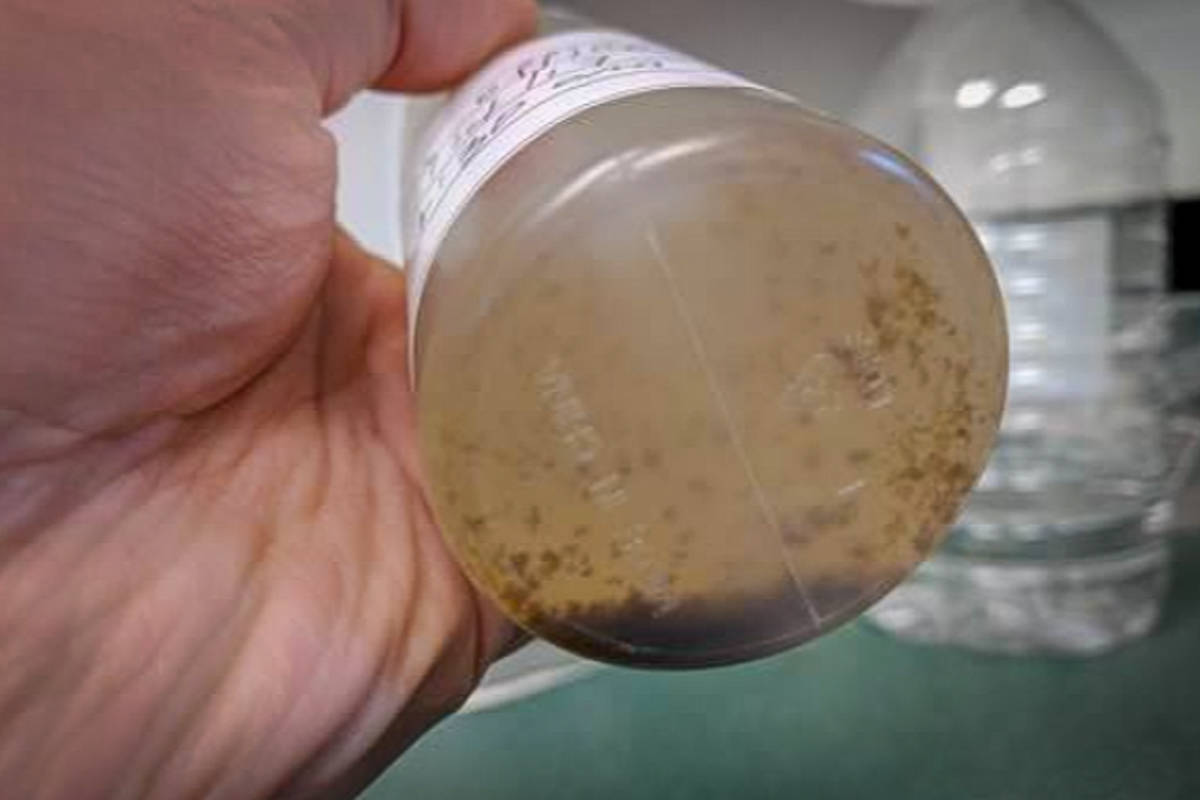 Muddy water found in taps at B.C. hospital prompts investigation