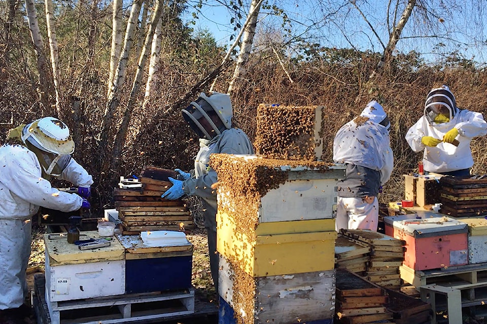 15917442_web1_190314-CVA-beekeepers-lose-much-of-stock_1
