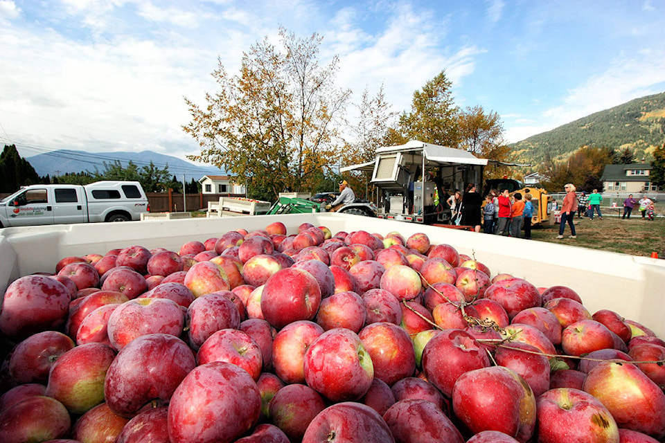 24280576_web1_171002-CVA-Its-Fruit-Press-Time_1