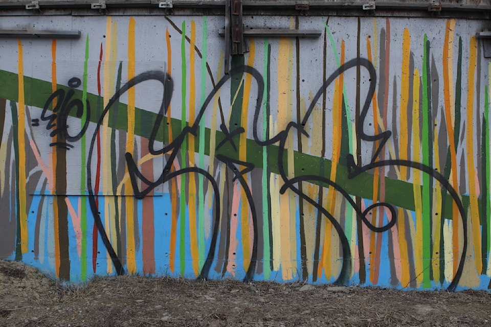 24495429_web1_210318-CVA-Graffiti_1