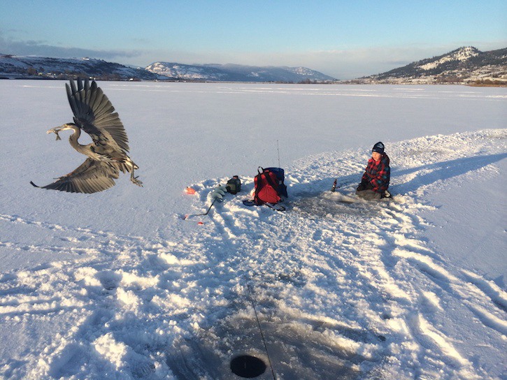 A fishy steal and an epic photo