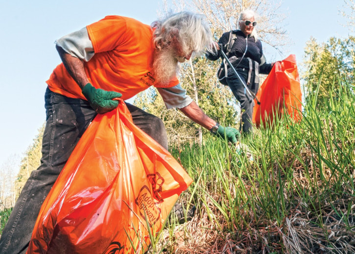 44803sicamousEVNcleanup10409col