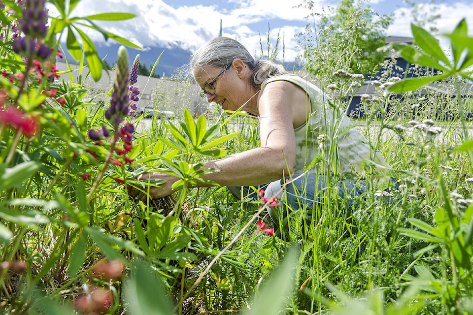 web1_170614-EVN-Communities-in-Bloom-Nickerson_1