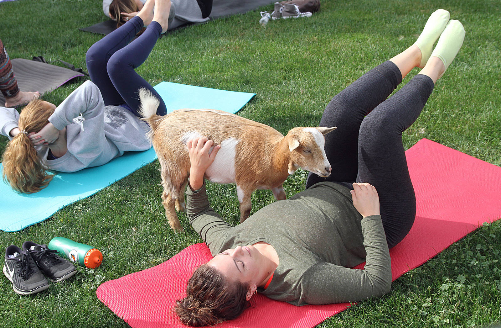 8815342_web1_170930-VMS-yoga-with-goats-1-lv