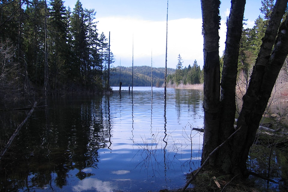 11554872_web1_180421-SAA-Shuswap-NAture-Hikers2