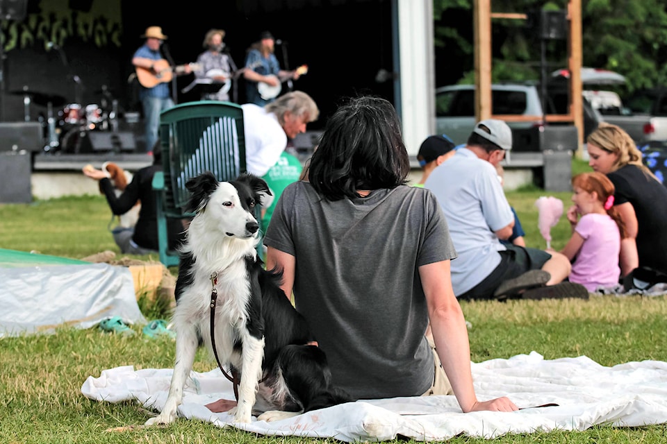 12693929_web1_180713-SAA-Seal-Skull-Blind-Bay-concert