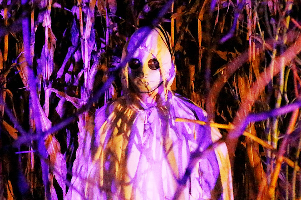 Ghostly figures haunt O’Keefe Ranch throughout October as the Ranch hosts the sixth annual Field of Screams Oct. 12-13, 17-20, 23-27 and 29-30. This year’s event features three mazes complete with creepy clowns, ghouls, goblins and all manner of things that go bump in the night. (Parker Crook/Morning Star)