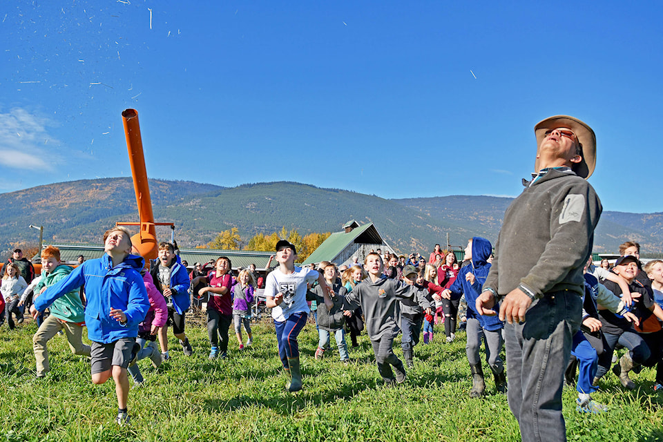 Dan Hopkins watches as candies fly, courtesy of the pumpkin cannon, and the older kids scramble in to find them as they land in a field at DeMille’s Farm Market on Sunday, Oct. 14. (Lachlan Labere/Salmon Arm Observer)