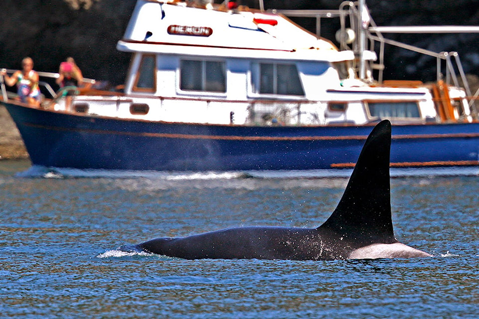 15108412_web1_TSR-Orca-Boat-EDH-181117