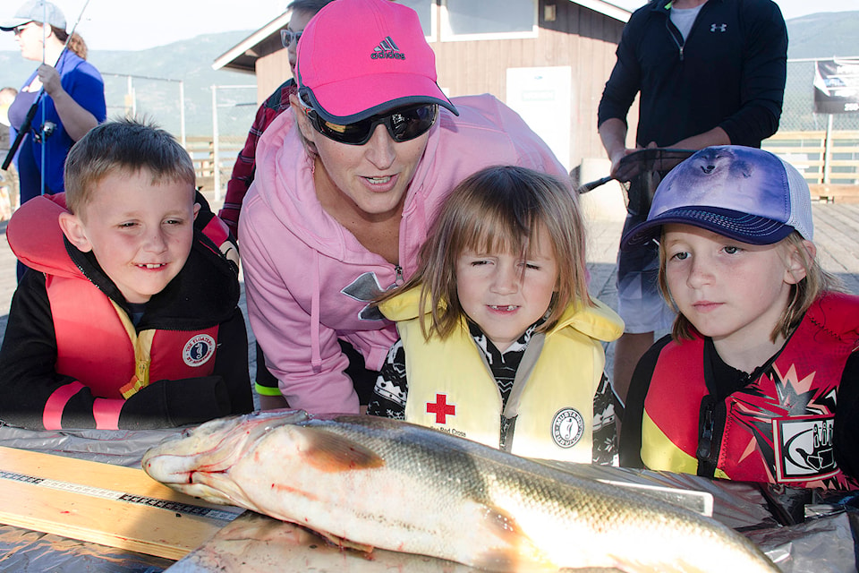 James, Tania, Ashlin and Trinity Yates watch as Ashlin’s fish is weighed at the Father’s Day Fishing Derby at the Salmon Arm Wharf on Sunday, June 16. Ashlin’s fish was the second-largest caught in the annual derby at 1.25 kg, Julien Ivaney caught the largest fish weighing in at 4.48 kg. Brody Paton won the most fish category, reeling in 20. (James Murray photo)