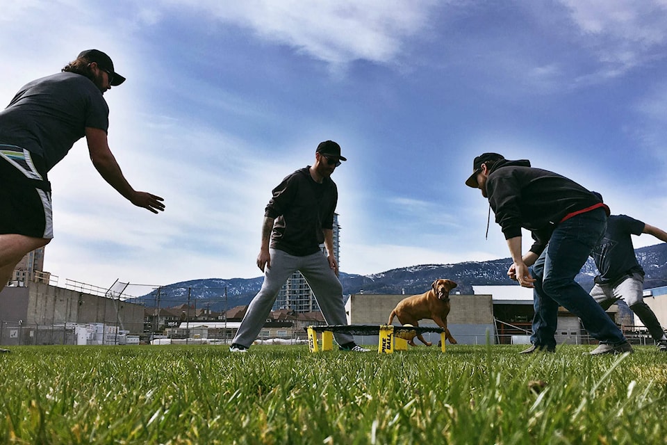 17358667_web1_spikeballkelowna