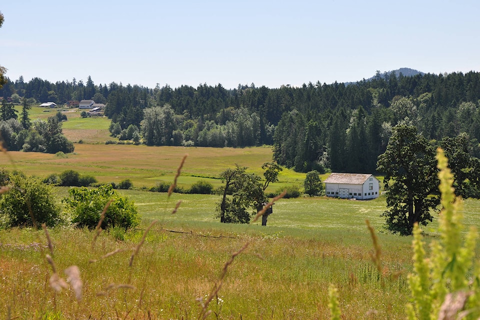 18061994_web1_Saanich-Peninsula-farm