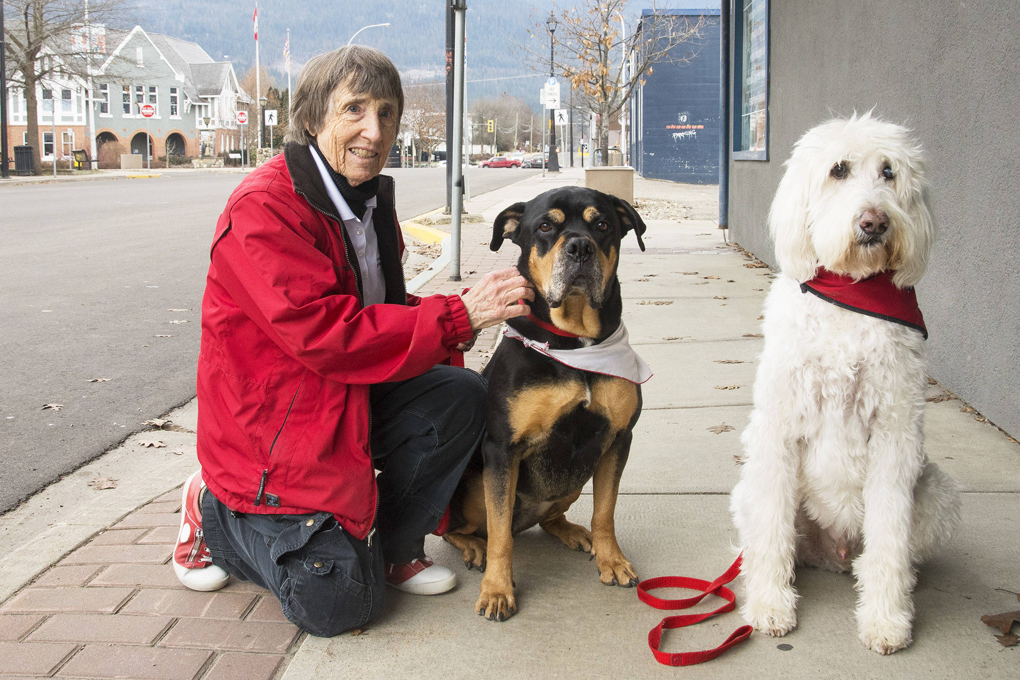 19613297_web1_copy_20191201-SAA-Joyce-and-the-Therapy-dogs-JE-062