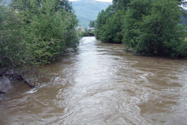 20668513_web1_200226-SAA-Watershed-nutrient-report_1