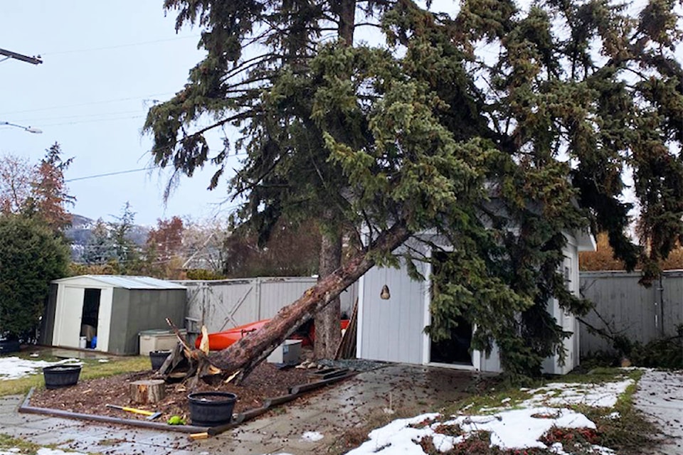 23923879_web1_210121-VMS-house-vs-tree-1_2