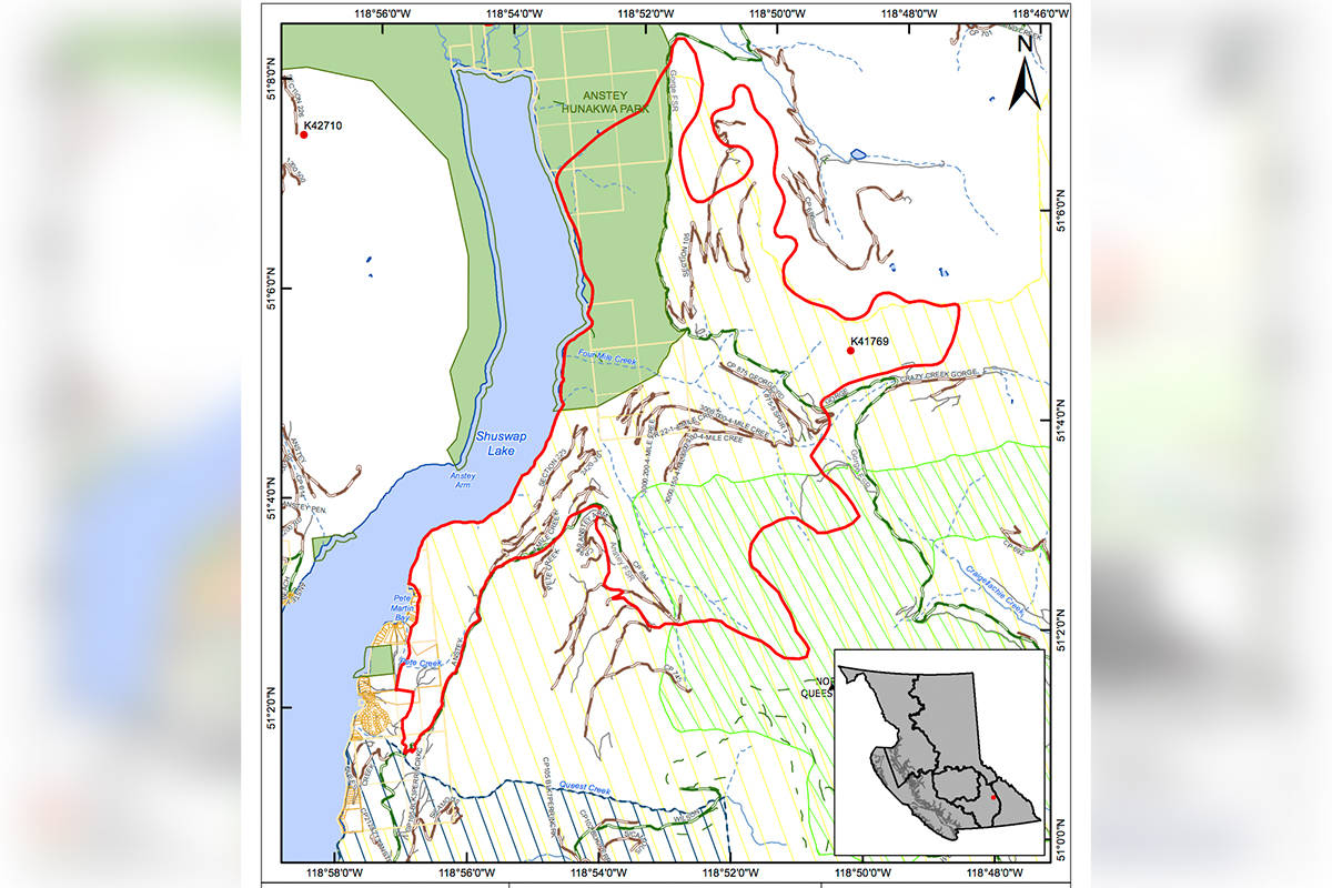 Crazy Creek Gorge wildfire north of Sicamous being held Sicamous