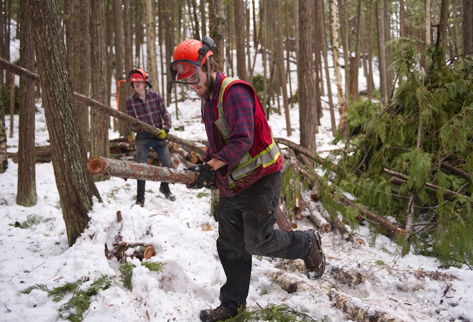 29142771_web1_220119-SAA-little-mountain-tree-removal_3