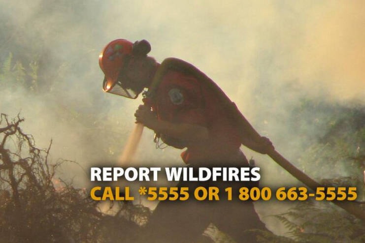 29946524_web1_220804-VMS-wildfire-update-Monday-WILDFIRE_1