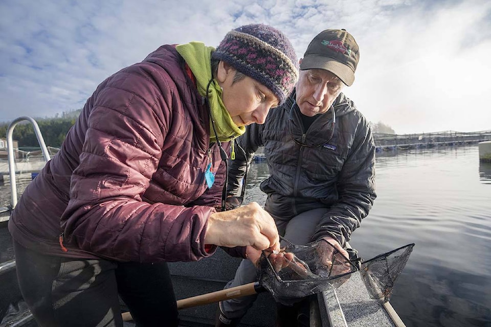 30428443_web1_220919-LJI-BC-FishFarm-expansion_1