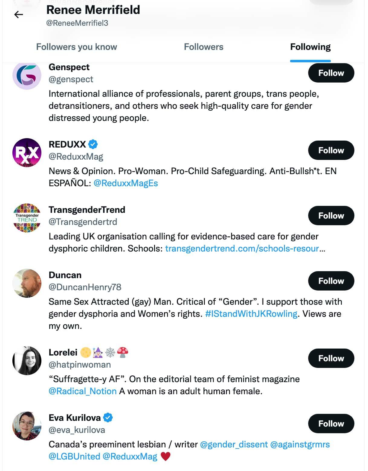 A screenshot from Renee Merrifields Twitter page shows a number of the people and organizations she follows advocate against certain transgender rights. (Screenshot/Twitter)