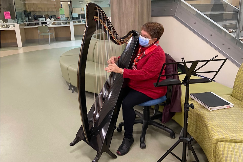 31496319_web1_230111-PWN-HospitalHarpist_1