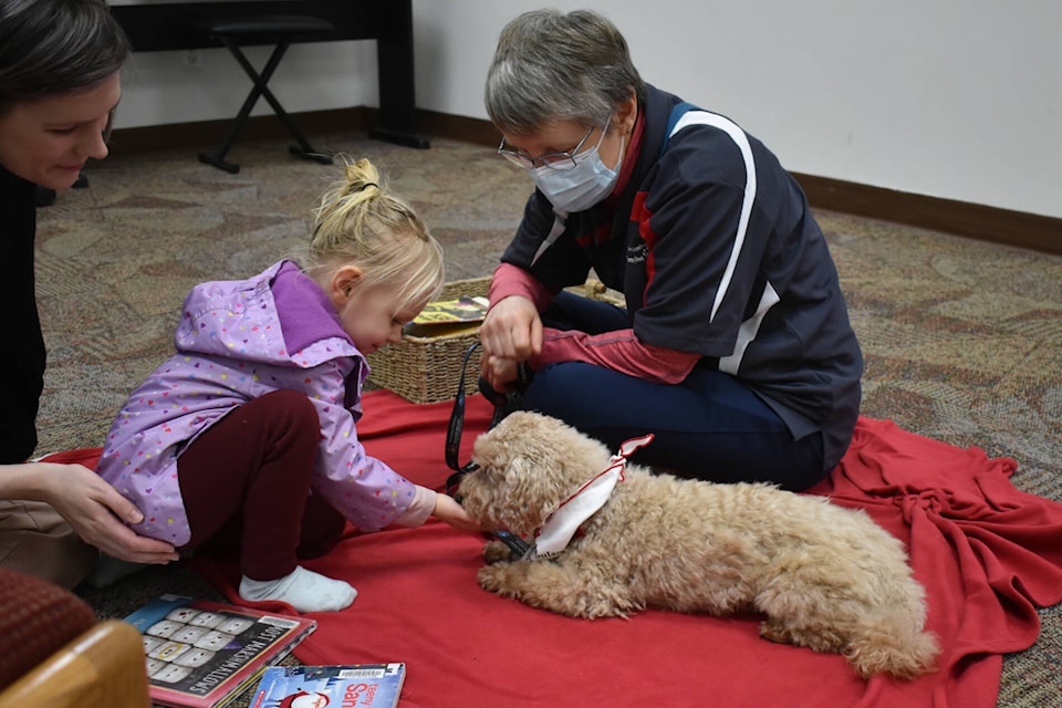 Rolo the therapy dog kisses Nora Stitt’s hand after she read stories with the dog and his human, Rachel, and her mother and Paws 4 Stories at the Salmon Arm ORL branch, Jan. 28 2023. (Rebecca Willson- Salmon Arm Observer)