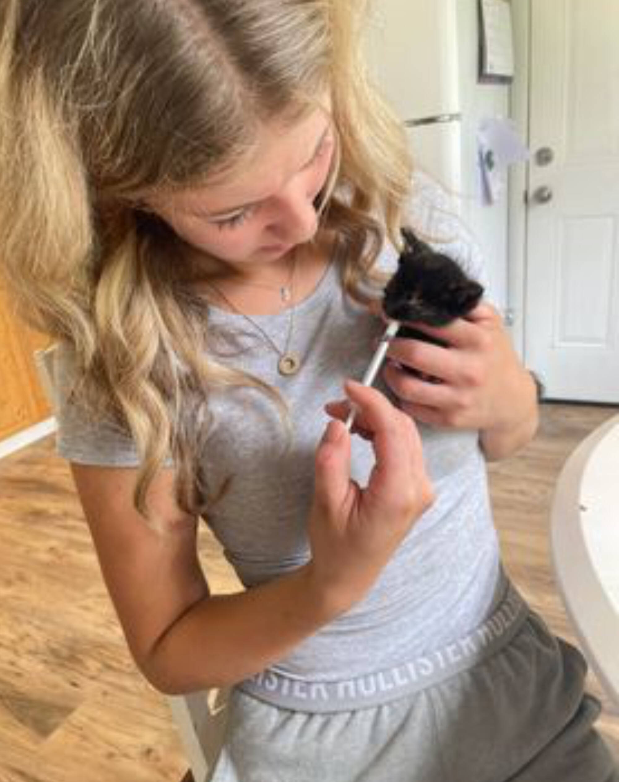 Oriah Johnston hand feeds a kitten needing medical attention in Shuswap Paws rescues foster care. Johnston has volunteered with the rescue for five years. (Siobhan Rich photo)