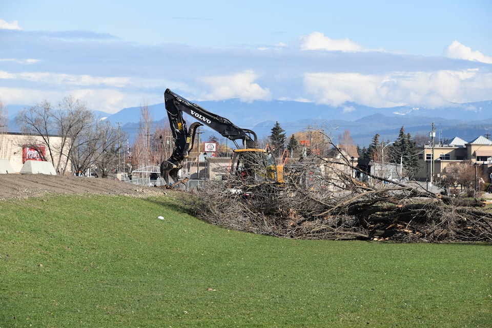 33734783_web1_230419-SAA-tent-and-tree-gone