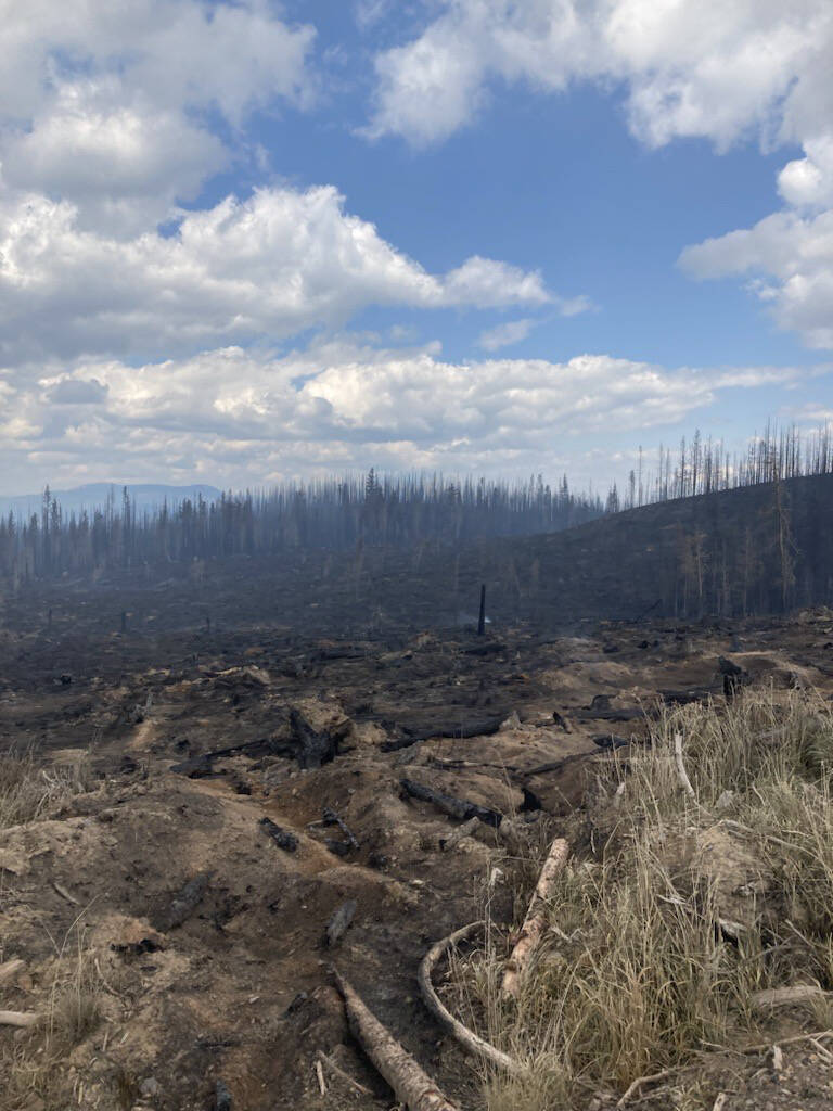 33821599_web1_230906-BPD-drought-conditions_2