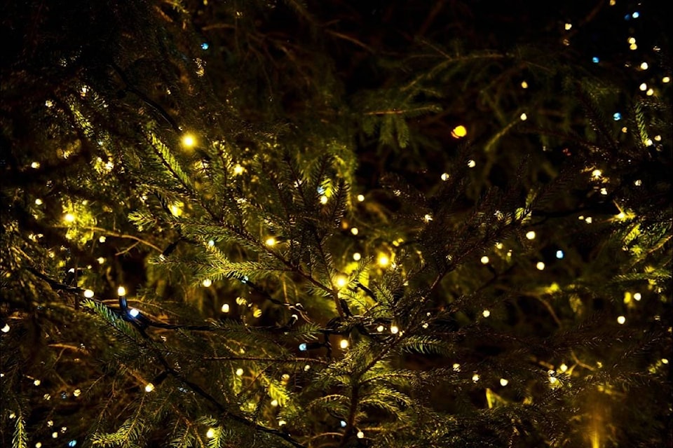 9389352_web1_171117-ECK-M-Christmas-Tree-Light