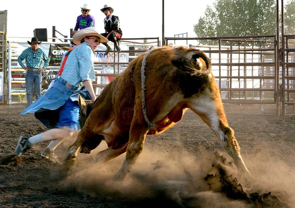 12239801_web1_lj-Bull-fighting-3487-WEB