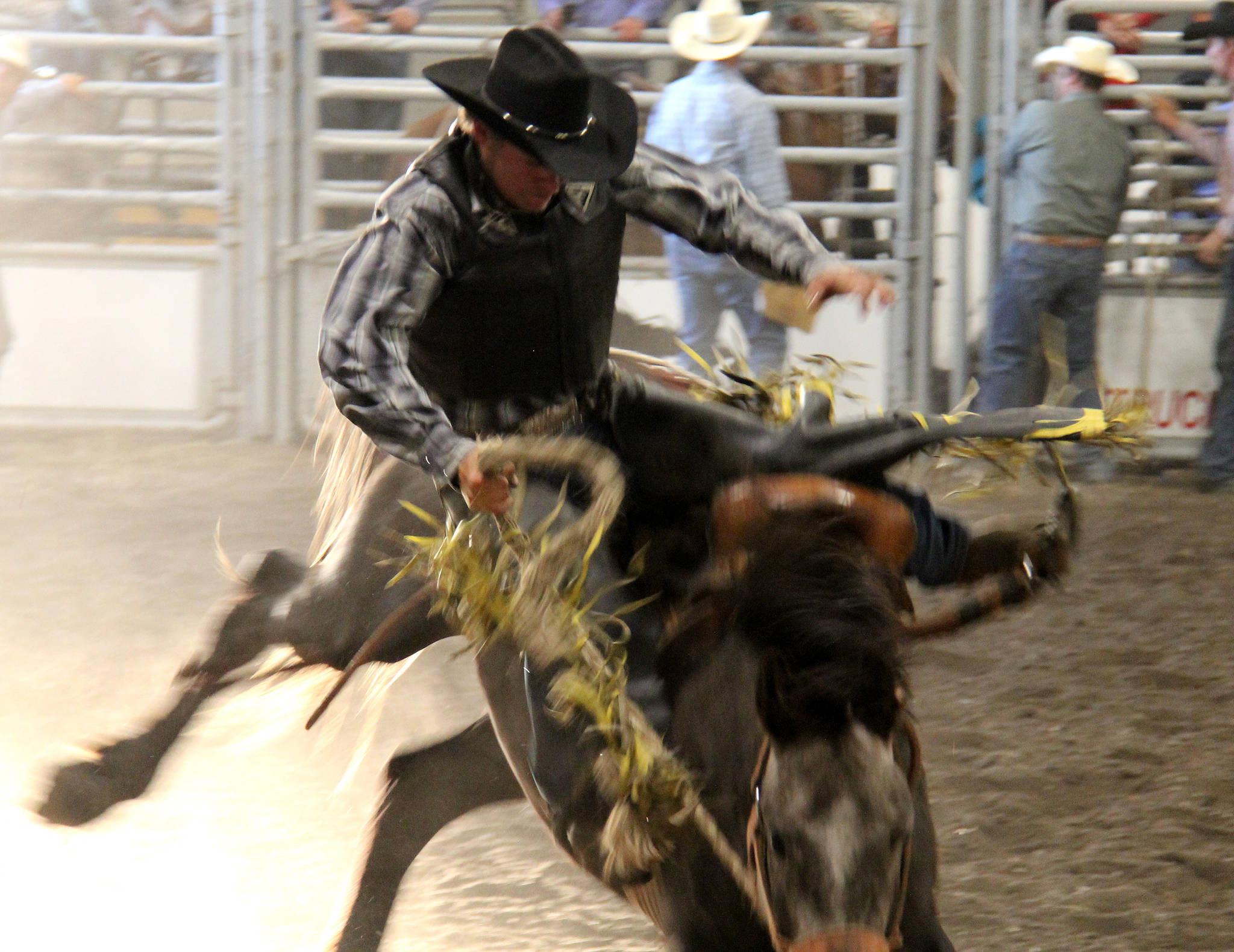 12295091_web1_Rodeo10