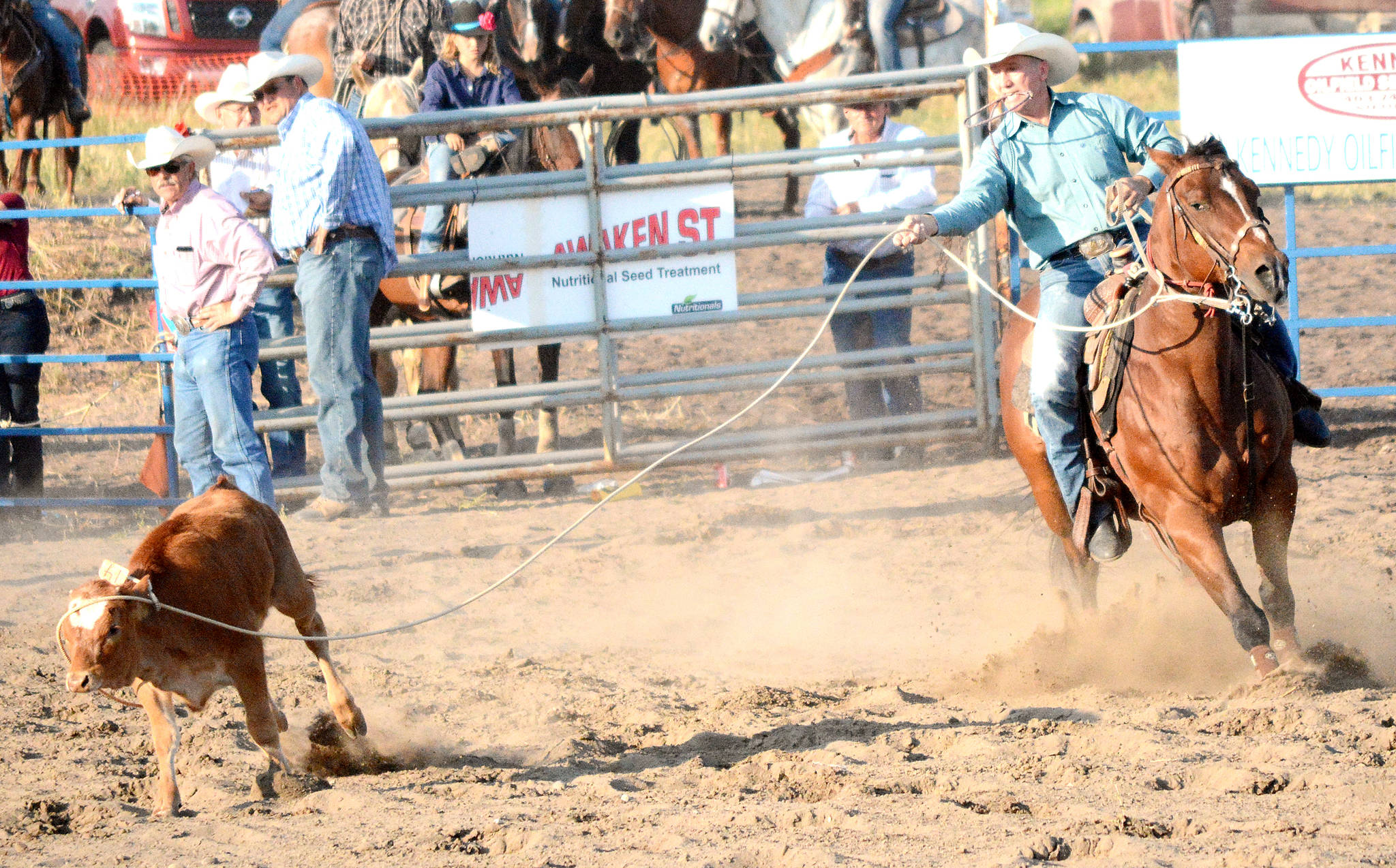 12920739_web1_lj-BV-Rodeo-Butterfield-0-6951