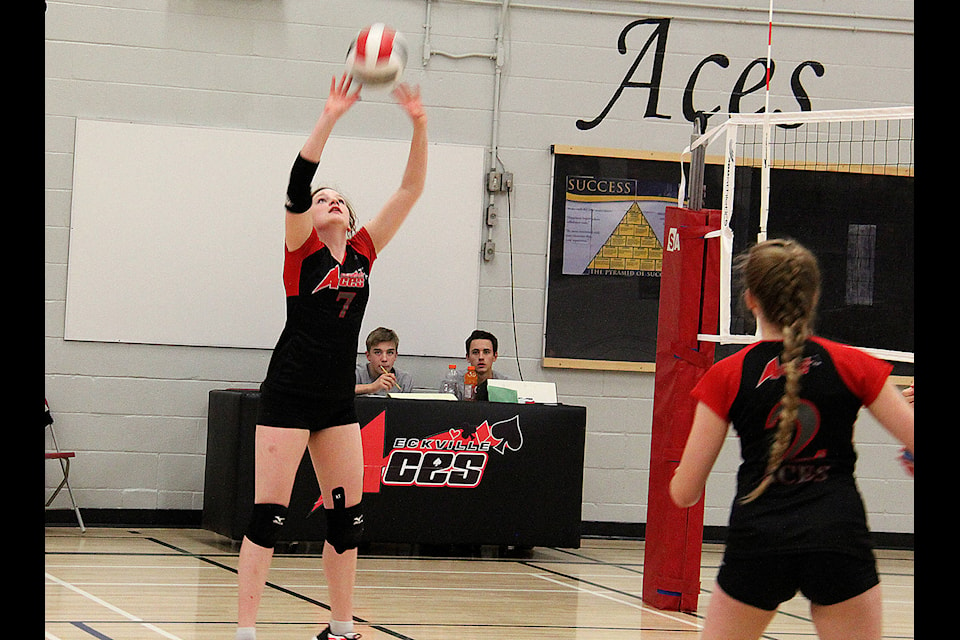 The Aces played with an aggressive attack on Wed., Oct. 15 bringing them to a straight set win over the Koinonia Storm. Pictured Courtney Cowan sets up her teammates for one of the Aces’ many strong plays. Photo by Kaylyn Whibbs/Eckville Echo