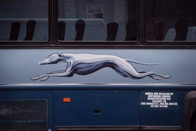 14202907_web1_181031-CPW-GREYHOUND