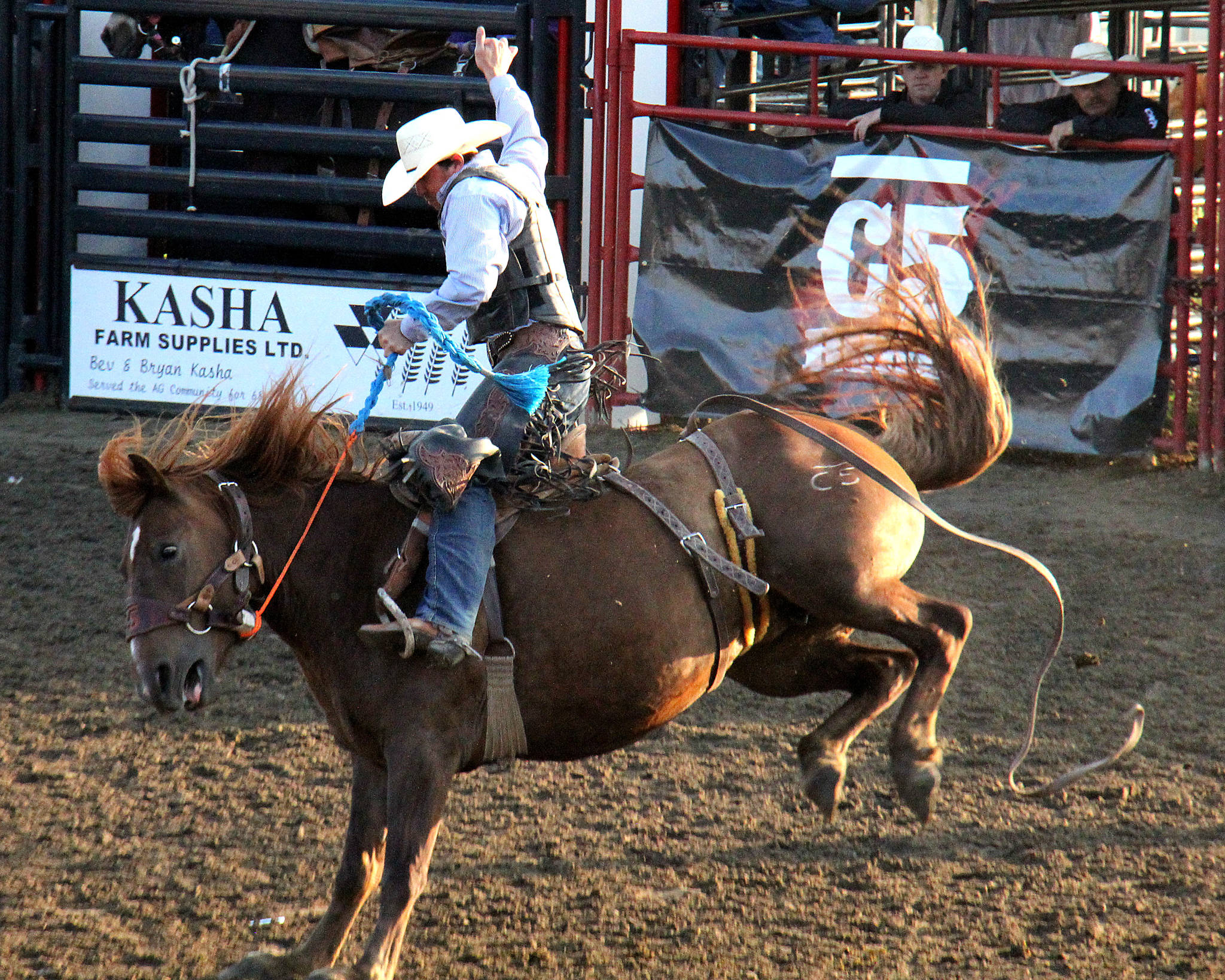 17603871_web1_SaddleBronc-JakeBrown