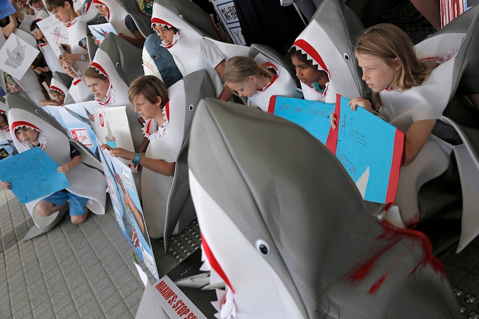 27870162_web1_220118-CPW-shark-fin-import-fine-protest_1