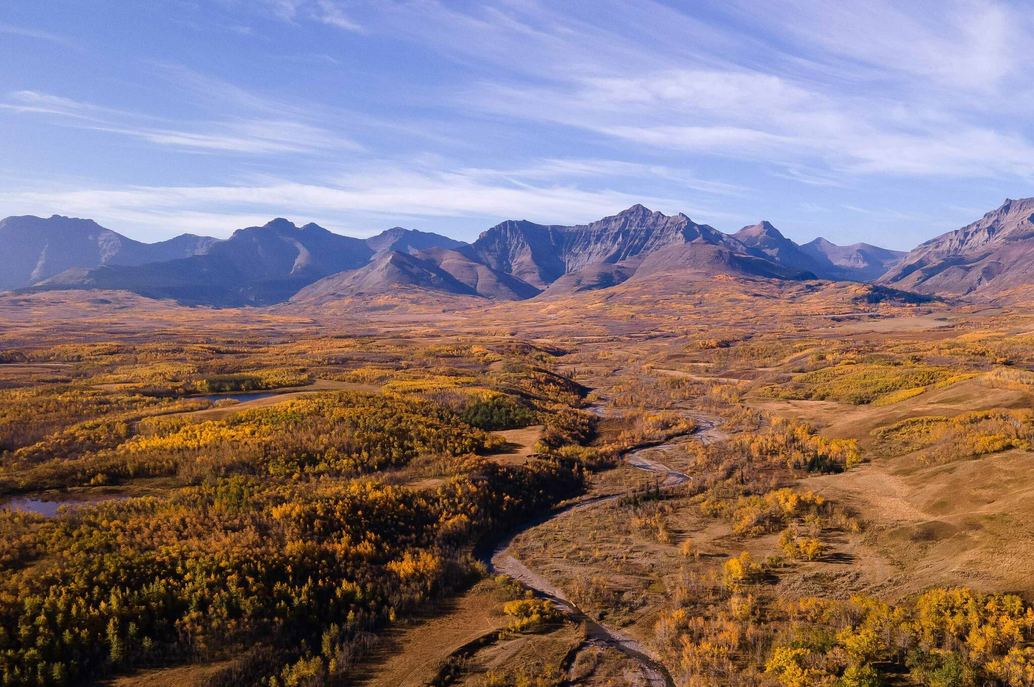 Conserving grassland ecosystems in Alberta has global impact