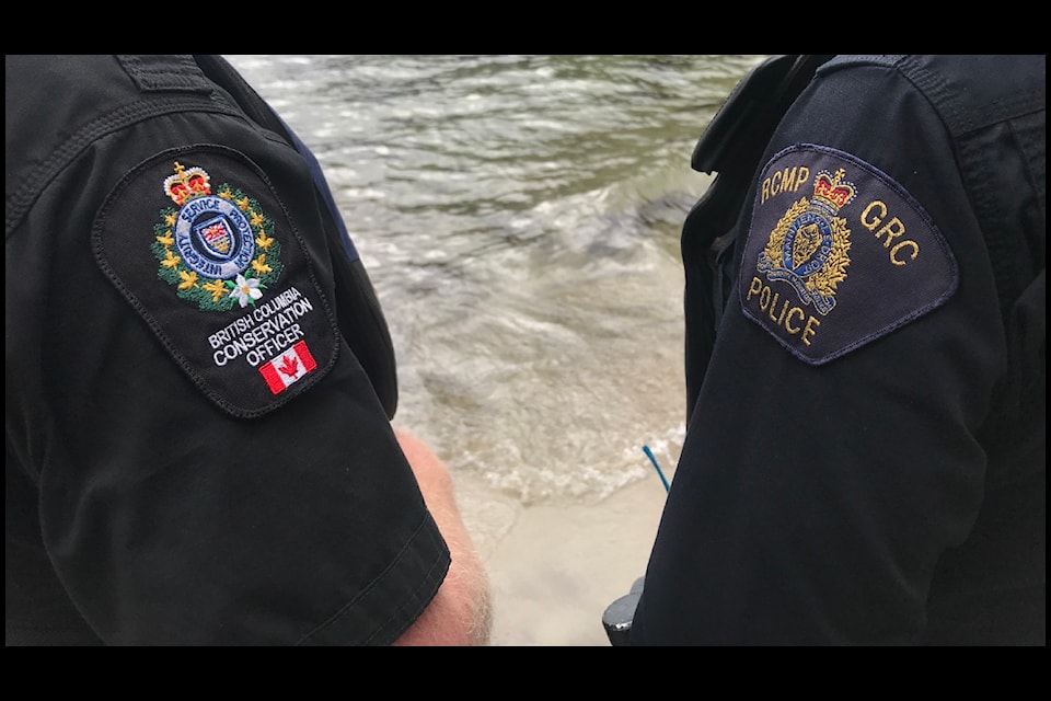Conservation services has deemed the death of a deer in northeast Fernie suspicious 