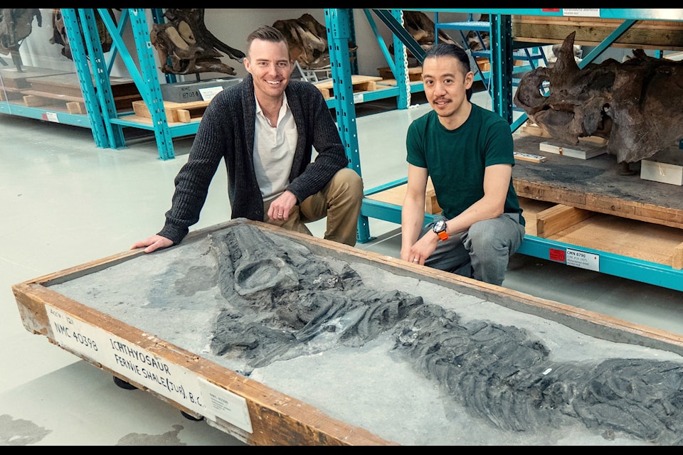 Palaeobiologist Dr. Jordan Mallon and research assistant Shyong En Pan stand with the fossil of fernatator prenticei in the national fossil collections of the Canadian Museum of Nature in Ottawa (Canadian Museum of Nature)