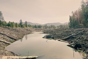 Grasmere Symposium will discuss watershed health