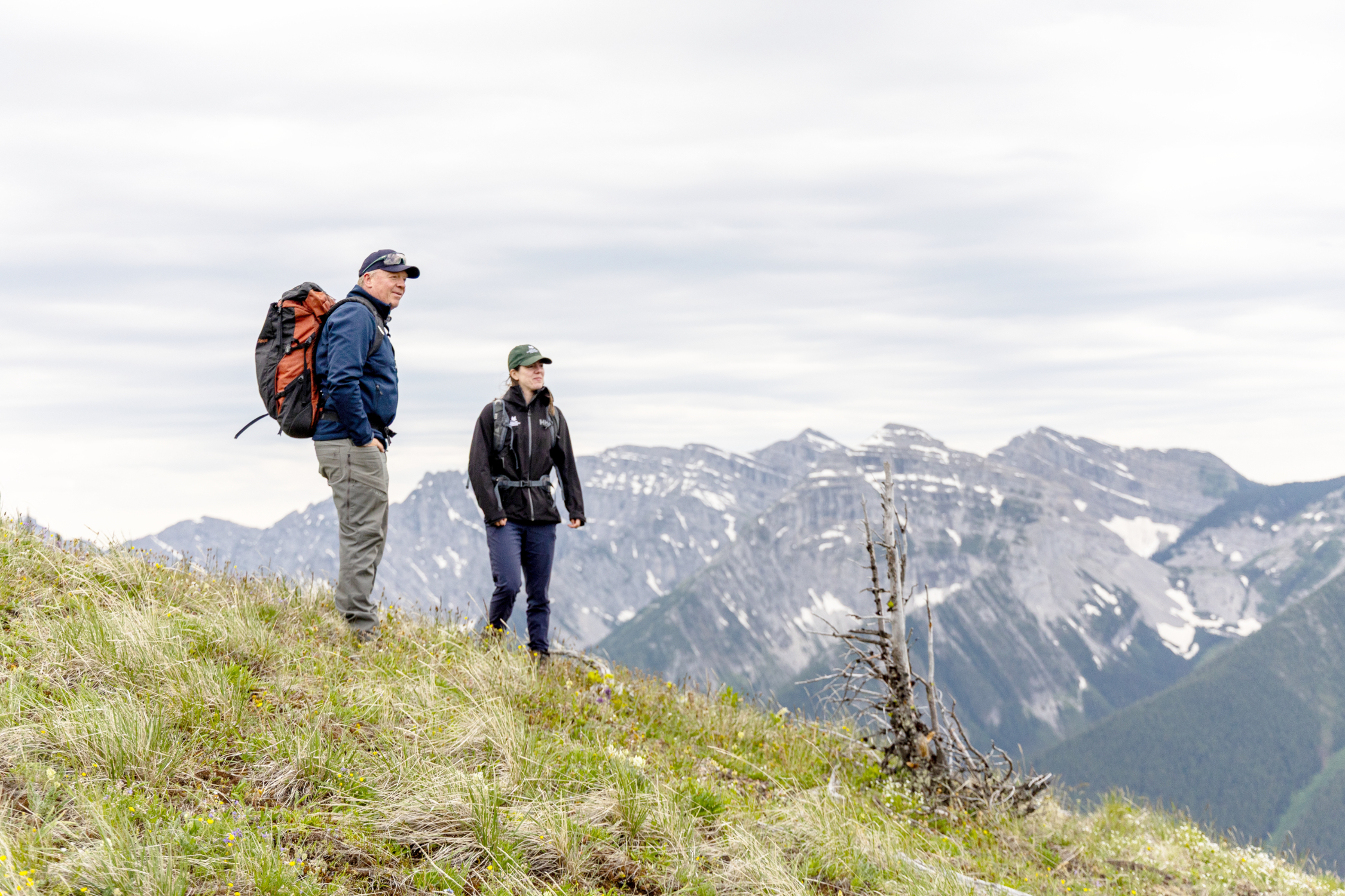 'A defining moment for nature': 37,000 hectares protected in the B.C. Rockies