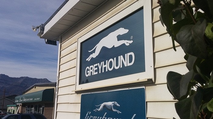 42479ferniefpGreyhoundstation