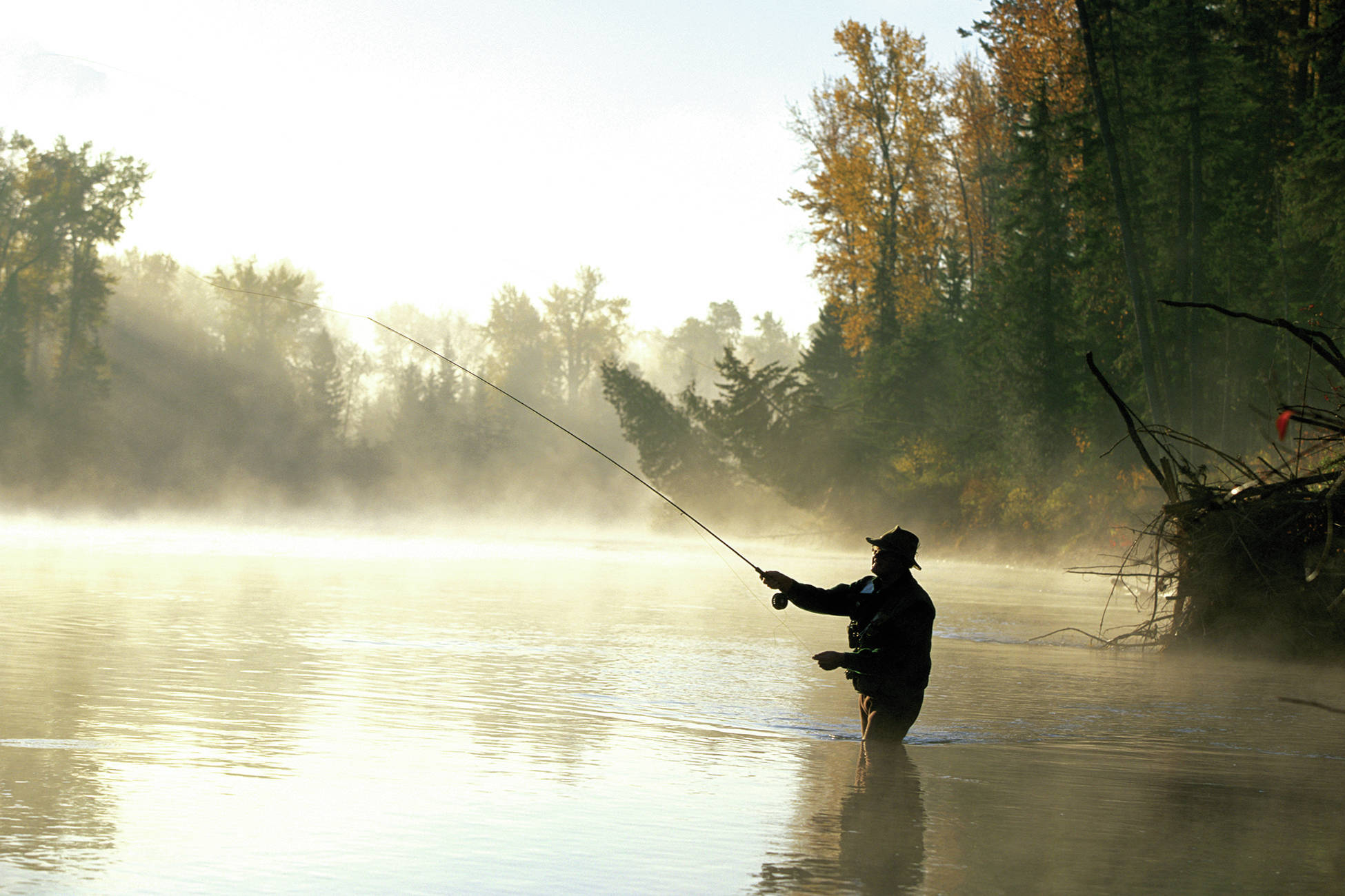 Fly fishing season to start on the Elk River - Fernie BC News