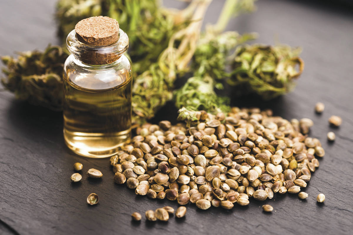 College to offer cannabis course